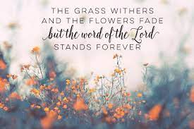 Bible verse wallpaper lock screen screensaver for phone! Bible Verse Laptop Wallpapers Top Free Bible Verse Laptop Backgrounds Wallpaperaccess