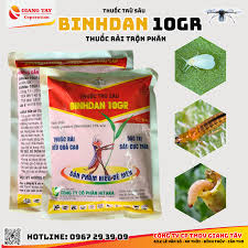 Binhdan 10GR