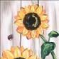 A Sunny Harvest event image