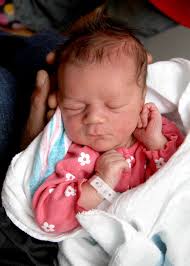 Oswego County TodayAmelia Crouch