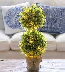 Lighted Faux Boxwood Topiary In Galvanized Pot Wind And Weather