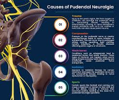 Image result for Pudendal Block