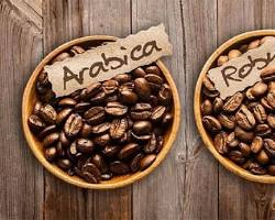 Hình ảnh về Cà phê Robusta