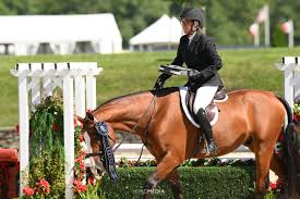 Michele Philip and her Image de Toxandria had a great showing at Old Salem  earning themselves a 🥇in the .85s!