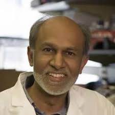 Avindra Nath, M.D.