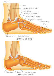 Treat foot injuries like a pro. Sore Feet Best Work Boots For Plantar Fasciitis Best Work Boots The Work Boot Critic