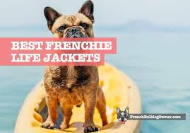 Due to their uneven weight distribution, french bulldogs should not be allowed to swim without a lifejacket, even under supervision. 5 Best French Bulldog Life Jackets Swimming Vests Reviewed
