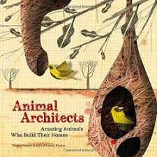 Animal Architects Architect Animals Books
