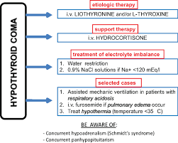 Frontiers Clinical Concepts On Thyroid Emergencies