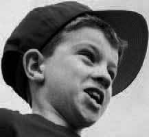 Feds to review manatee status