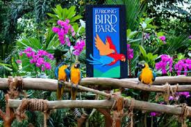 Birds like penguins, cockatoos, macaws, hornbills, lorikeets, and more, live in various zones including swan lake, the wetlands your pass includes jurong bird park tickets plus admission to dozens of top attractions. Jurong Bird Park Admission Ticket 2021 Singapore
