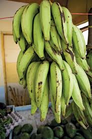 Image result for Musa acuminata