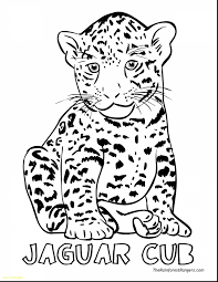 Worksheet Snow Leopard Printable Worksheets And Activities For Teachers Parents Tutors And Homeschool Families