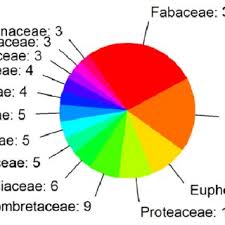 Image result for Copaifera baumiana