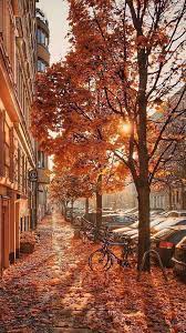 Download Free Android Wallpaper Autumn Autumn Landscape Autumn Photography Cute Fall Wallpaper