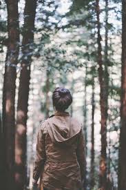 Alone In The Woods I Always Feel At Peace Adventure Photo Photography