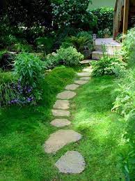 They grow no taller than 1 inch, but they spread to a foot or more wide. Irish Moss Sagina Subulata Is A Reasonably Drought Tolerant Hardy Plant However Will Require Some Protect Backyard Landscaping Designs Moss Lawn Moss Garden