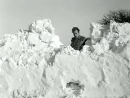 How every portland snow day unfolds, in gifs. Vintage Video Gifs Primo Gif Latest Animated Gifs