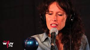 Sarah Lee Guthrie, Johnny Irion