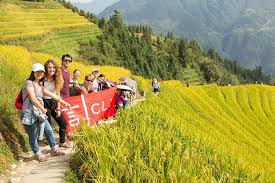 Check spelling or type a new query. 12 Ways To Say Hi In Chinese The Chinese Language Institute