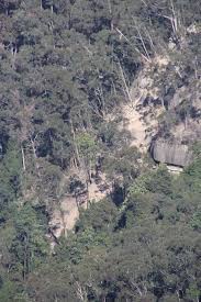 Sadly The Golden Stairs Have Ask Roz Blue Mountains Facebook