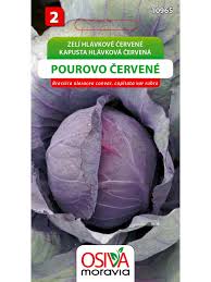 Image result for hlávková kapusta