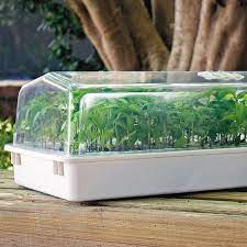 Start Seeds The Bio Dome Way Mini Greenhouse Seed Starting Kits Seed Starting