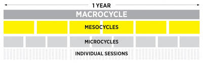 mesocycle sportlyzer academy