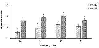 These are the qualities with which cepa centrifuges and systems have made a name for. Expresion Relativa Del Gen Rnt1 Respecto Al Control Cepa Parental Download Scientific Diagram