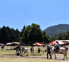 Check spelling or type a new query. Abren Los Dinamos Pero Siguen Prohibidas Actividades Recreativas