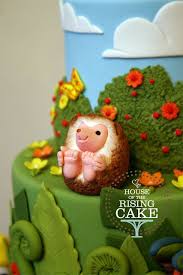 Lil Hedgehog Birthday Baking Animal Cakes Cake Decorating Tips
