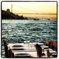 Navigasyonlarda konum olarak mekanın adresi de işaretli. Kandilli Suna Nin Yeri Kandilli 589 Tipps Von 18892 Besucher
