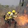 El conocimiento indígena guía las acciones para combatir los incendios en el territorio indígena del Xingu