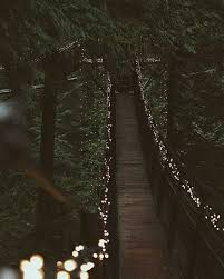 Beautiful Fairy Light Dark Bridge Light In The Dark Nature Photography Photography