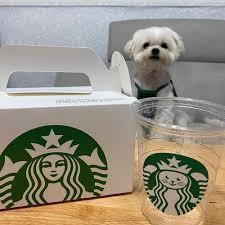 Banana costumes, hot dog costumes, even wine and cheese costumes galore. Dog Halloween Costume Coffee Shop Assistant Dog Clothes Halloween Dog Pet Costume Dog Costumes For Small Dogs Cat Costume Dog Sets Aliexpress