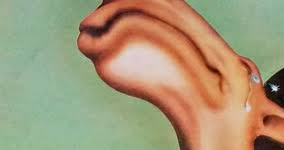Explain your version of song meaning, find more of camel lyrics. Camel Camel Album List Of Songs And Lyrics Translation