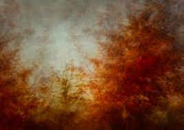 Landscape Editions Volume Twelve Andy Gray Intentional Kozu Books Landscape Gray Photography Abstract Landscape