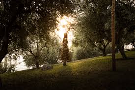 Does olive garden have a private room? Short Trip Blog Alina Rudya