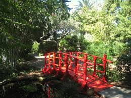 Miami beach botanical garden • miami beach, fl. Botanical Gardens In Miami The Best Ones To Visit Amateur Traveler