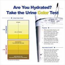 Urine Color Chart Template Pdf Kangen Water Drink More