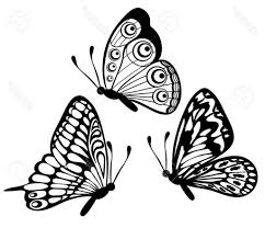 We offer you for free download top of butterfly clipart black and white outline pictures. Luthfiannisahay Flying Butterfly Clipart Black And White Outline