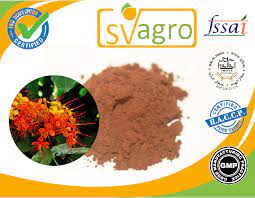 Ashoka Extract Saraca Indica Tannins Upto 25 Extract From India Buy Ashoka Bark Extract Saraca Indica Extract Ayurvedic Herbs Product On Alibaba Com