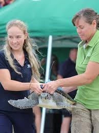 Kim Richmond murder trial: Cory Jefferies unaware if partner wearing Fitbit 