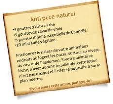 Epingle Sur Huiles Essentielles
