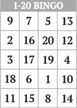 Free Printable Number Bingo Card Generator