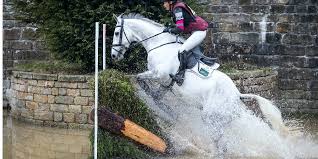 Cross country jumps, greg schlappi cross country jumps landrum, sc portable jumps. 10 Cross Country Jumps You Might See On A Course Insider Horse Latest Greatest Horse New Publication