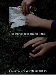 Terrence Malick The Tree Of Life 2011 Tree Of Life Quotes Movie Quotes Film Quotes