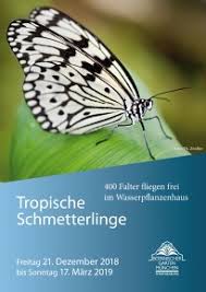 Dies dient dem schutz der kinder und der zahlreichen. Tropische Schmetterlinge Botanischer Garten Munchen Nymphenburg