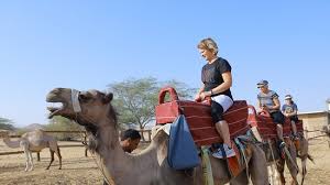 More than 12,400 people in israel have tested positive for coronavirus after being vaccinated with the pfizer/biontech jab when it comes to vaccines, the results of clinical trials may differ from how the immunization performs in the field, where it's. Negev Camel Ranch Dimona 2021 All You Need To Know Before You Go With Photos Tripadvisor