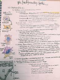 Integumentary System Notes And Epidermis Cells Human Anatomy And Physiology Biology Lessons Anatomy And Physiology